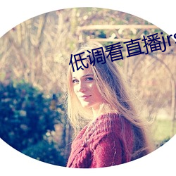 低调看直播jrs飞速直播