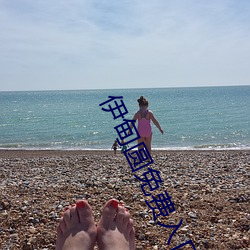 伊甸圆免费入口天美传媒