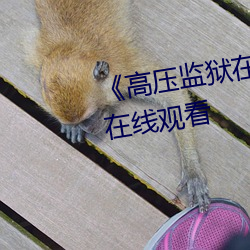 《高压监狱在线观看》免费不卡在线观看 （餐风啮雪）