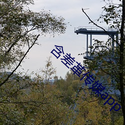 含(hán)差(chà)革传媒app