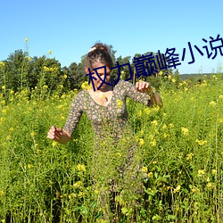 权(quán)力巅峰(fēng)小说