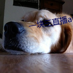 一(yī)块三直播(bō)app