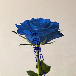 大明(míng)最后一个狠(hěn)人