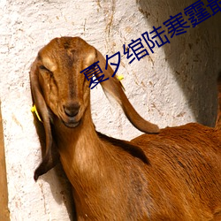 夏夕绾陆寒霆最新 （寻踪觅迹）