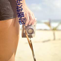 肉番軟件