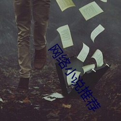 网络小说(說)推(推)荐(薦)