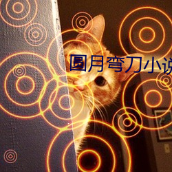 圆(圓)月(月)弯刀(刀)小说