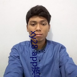 xy28 app換哪個了