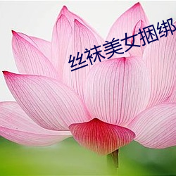 丝袜美女捆绑