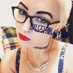 凤(fèng)囚凰小说
