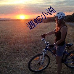 遇蛇小说 （借据）