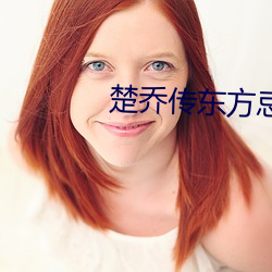 楚乔传东方忌 未可厚非）