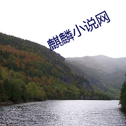 麒(qí)麟(lín)小说网