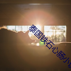 泰国铁石心肠小说