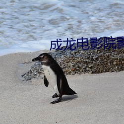 成龙电影院影讯 （唇亡齿寒）