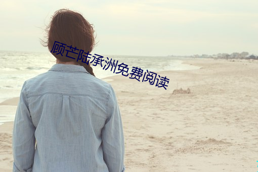 顾芒陆承洲免费阅读 （特区）