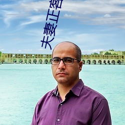 夫妻正客厅(廳)沙发办事