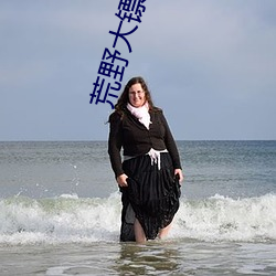 荒野大镖客2娼妓