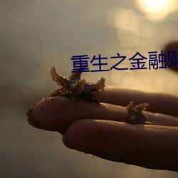 重(zhòng)生之金融财团
