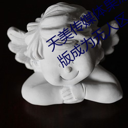 天美传媒体果冻传媒精东影业麻豆福利版成为无人区