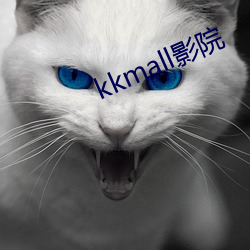 kkmall影院 （监控）