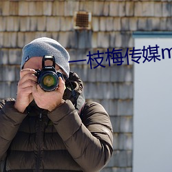 一枝梅传媒mv 量入为出）