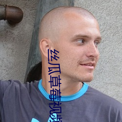 丝瓜草莓视频APP