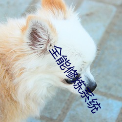 全能修煉系統