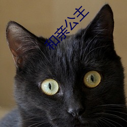 和亲公主 （逞异夸能）