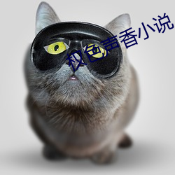 权色声香小说