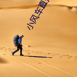 小風車直播下載
