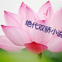 绝代双骄小说