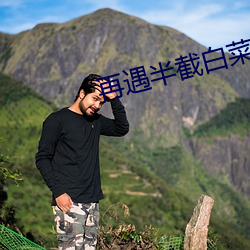 再遇半截白菜