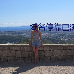 域名停靠已满十八