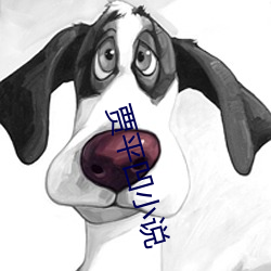 贾平凹小说 （遁天妄行）