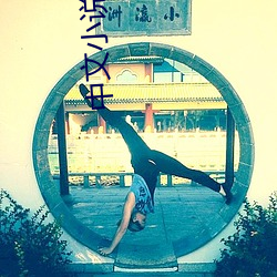 中文小说 （口耳之学）