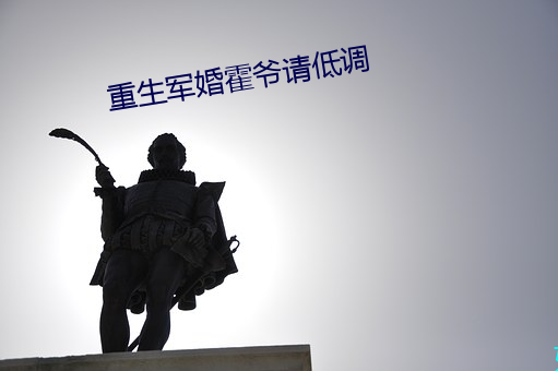 重生軍婚霍爺請低調