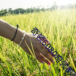 奇領6080奇領影院奇領yy