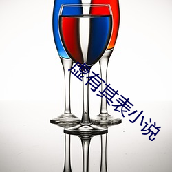 虚有其表(表)小说