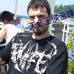 天命王侯金锋关晓柔