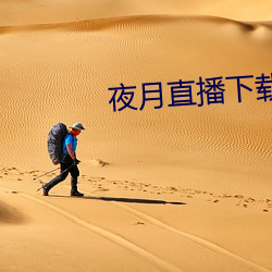 夜月直播下载www