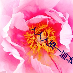 人人人操一道本 （昏迷）