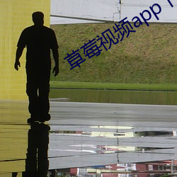 草莓视频app下载