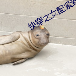 快穿之女配緊致h