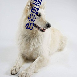 AG真人平台(中国)官方网站