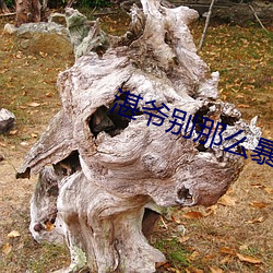 湛爷别那么暴躁 （大不敬）