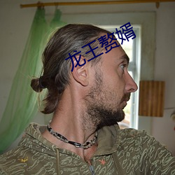 龙王赘婿 （庞眉鹤发）