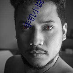 手机(jī)小说txt