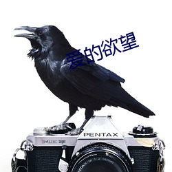 愛的欲望