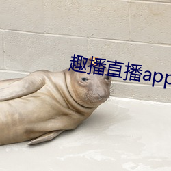 趣播直播app12v （宏富）